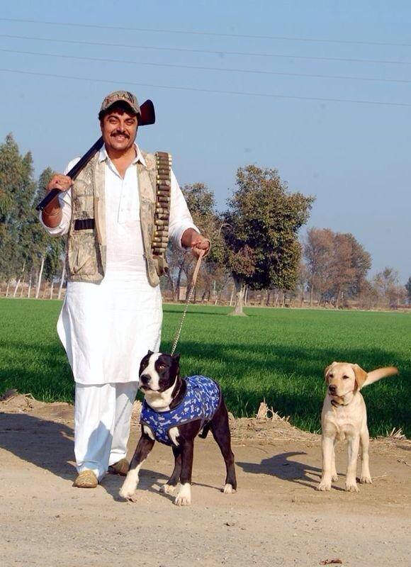 Gugu Gill With Dogs