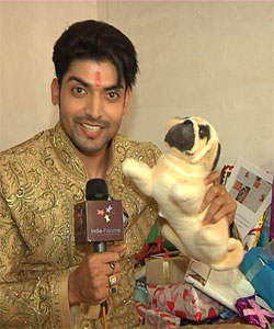 Gurmeet Chaudhary With Dog