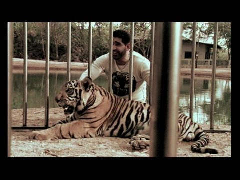 K. S. Makhan With Tiger