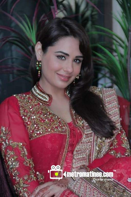 Popular Actress Mandy Takhar