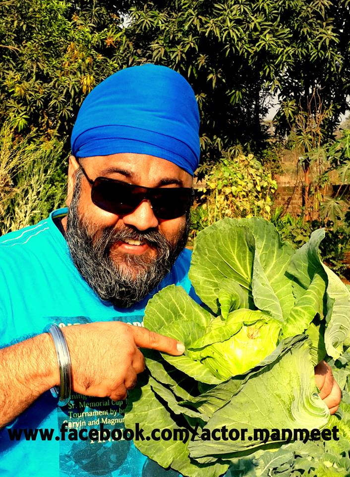 Manmeet Singh Showing Cabbage