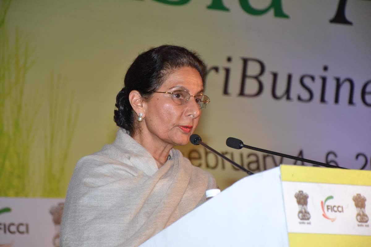 Ms. Preneet Kaur Addressing The Asia Africa Agri Business Forum