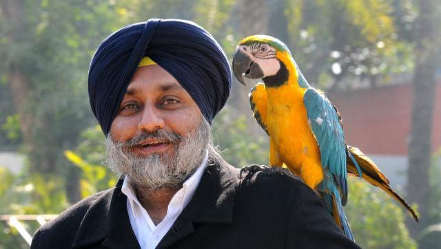 Sukhbir Singh Badal With Parrot