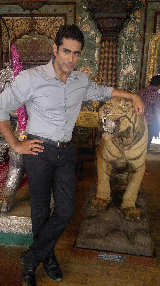 Tarun Khanna With Tiger Statue