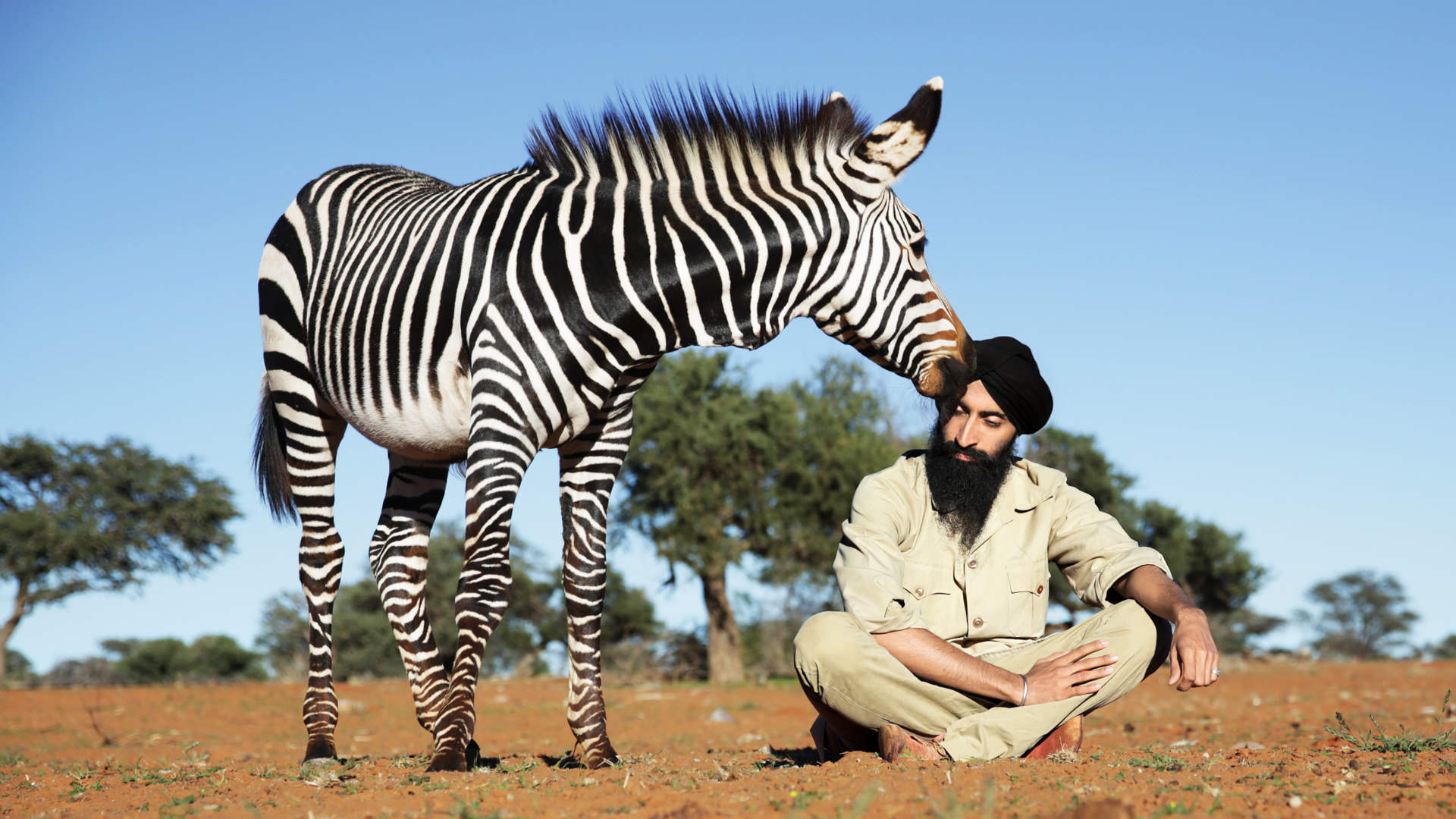 Waris Ahluwalia With Zebra