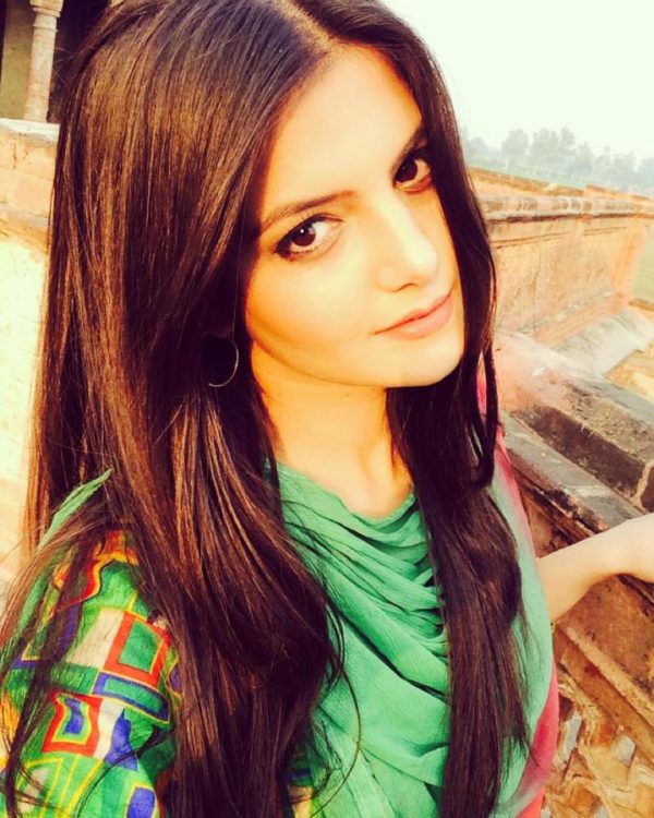 Stunning Tanvi Punjaban Actress-416 (3)