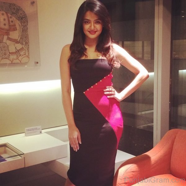 Image Of Surveen Chawla Looking Admirable-121