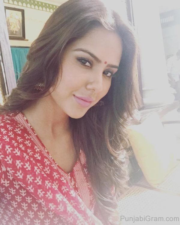 Picture Of Sonam Bajwa Looking Lovely-062