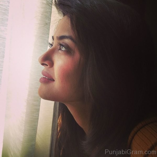 Picture Of  Surveen Chawla Looking Gorgeous-049