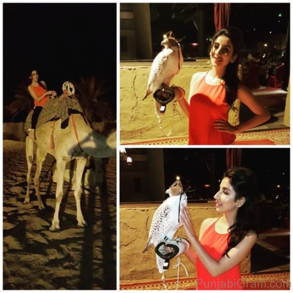 Picture Of Parul Gulati Looking Marvelous