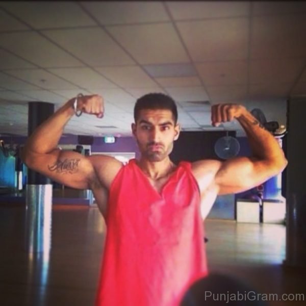 Picture Of Punjabi Actor Parmish Verma-003