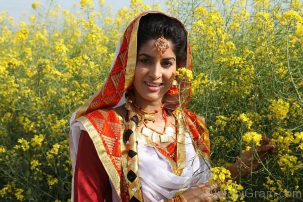 Anisha Pooja Looking Beautiful